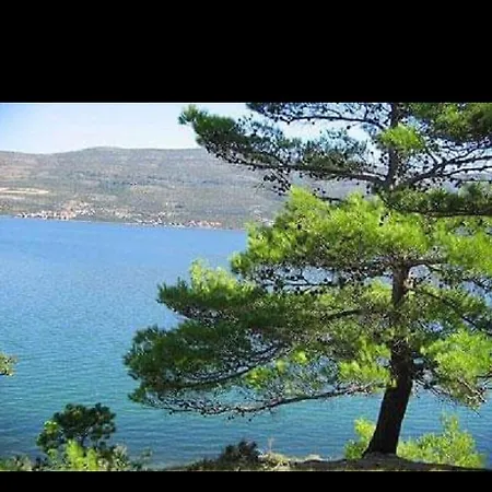 Alar